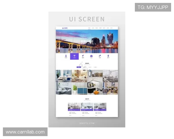欧博最新官网投注网站用户体验优化方案与界面设计亮点