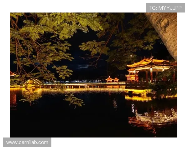 花花公子娱乐场：引领潮流的娱乐方式带来无限精彩的休闲时光