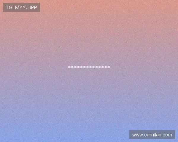 世界杯美国对巴拉圭比赛中核心球员的战术作用与比赛亮点总结 世界杯美国对巴拉圭比赛中核心球员的战术作用与比赛亮点总结