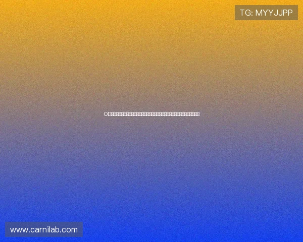 OD体育登陆提供专业的世界杯赛事数据统计与分析帮助用户深入了解比赛背后细节